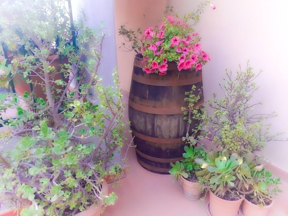 Bed And Breakfast Rosangela タオルミーナ エクステリア 写真